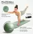 Neolymp Pilates Set für Zuhause mit Ball, Ring & 1kg Hanteln (NEOLYMP_PLS210_BOX)
