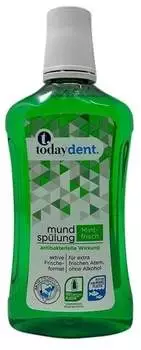 Today Dent Mundsp&uuml;lung Mintfrisch