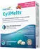 OraCoat XyliMelts Hafttabletten Beeren-Mix 40 Stk.