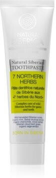 Natura Siberica 7 Northern Herbs Toothpaste (100g)