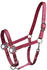 rot, Warmblut: Waldhausen Halfter Gloomy