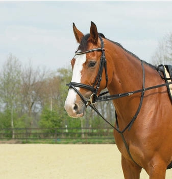 Busse Thiedemann-Kombination Gr.Wb