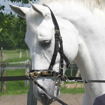 Busse Kappzaum Professional Pony schwarz/messing Busse Kappzaum Professional Pony schwarz/messing