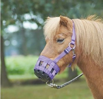 Busse Fressbremse CLASSIC schwarz - Pony (610710.040.933.)