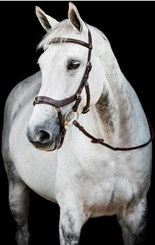 Horseware Micklem 2 Multi Bridle Dark Havana (SBMXM0-NAB0-SC)
