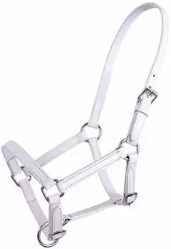 QHP Lederhalfter für Fohlen Q-essentials Chico weiß WARMBLUT