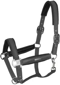 Waldhausen Nylonhalfter Breath Halfter Anthrazit WB
