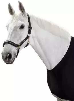 Eskadron Halfter SLIDING BUCKLE CORE Warmblut, blackberry