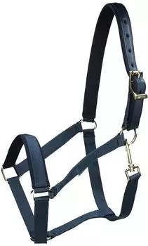 Bucas Nylonhalfter Dublin Halfter Navy/Navy Cob
