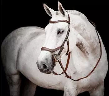 Horseware Micklem 2 Competion Bridle dark havanna X-WB