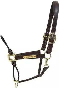Kentucky Horsewear Horsewear Lederhalfter Rope Halfter Braun Full