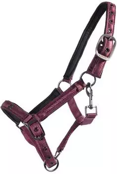 QHP Fohlenhalfter Lily bordeaux Full