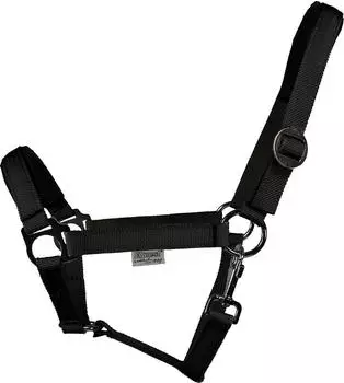 EQuest Halfter Regular Plus aus Polypropylen, schwarz M / Vollblut / Cob