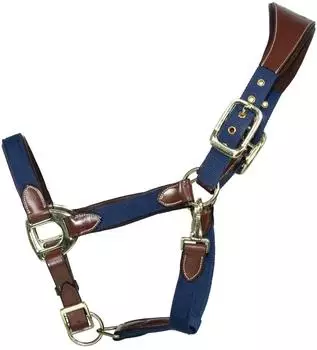 EQuest Halfter Unique für Pferde Messing Finish, Cognac/Navy S Pony