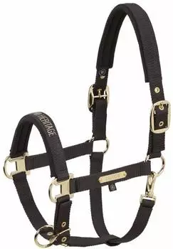 Eskadron Halfter Girth Double Pin Heritage 2025 Stallhalfter Black Truffle V