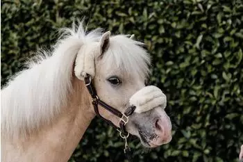 Kentucky Horsewear Lederhalfter mit Lammfell brown PONY