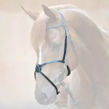 Kavalkade Reithalfter Mexican schwarz WARMBLUT