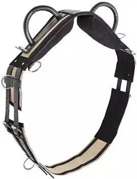 Busse Longiergurt Double Schwarz Warmblut