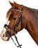 Star STAR Pinky Trensenzaum engl.komb., schwarz, Shetty