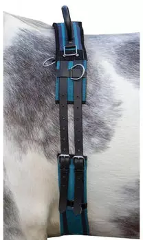 HKM Longiergurt mit Doppelgriff Canvas Navy/ Skyblue Shetty