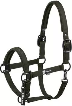 Eskadron Halfter Sparkle Double Pin Dynamic 2025 Stallhalfter Deep Green P2