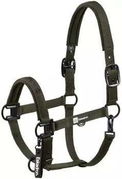 Eskadron Halfter DOUBLE PIN Dynamic 2025 deep green, Pony klein