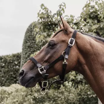 Kentucky Horsewear Horsewear Stallhalfter Plaited Nylon Halfter Nylonhalfter Schwarz Full kavalio für mich und mein Pferd