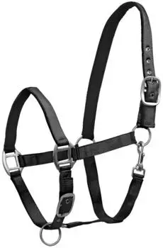 Waldhausen Satin Perlonhalfter, tannengrün, Shetty