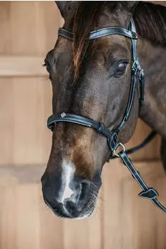Dyon Dy´on Gebisslose Trense Bitless Bridle Schwarz Full kavalio für mich und mein Pferd
