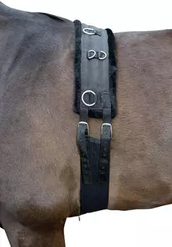 HKM Teddy Longiergurt, schwarz/schwarz, Pony