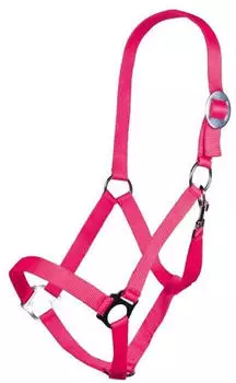 HKM Stars Economy Softice Halfter, neon pink, Vollblut
