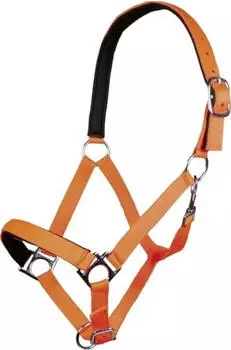 HKM Stars Softice Halfter, weich unterlegt, neon orange, Kaltblut