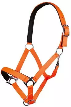 HKM Stars Softice Halfter, weich unterlegt, neon orange, Pony