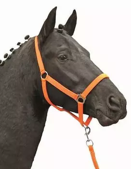 HKM Stars Economy Softice Halfter, neon orange, Warmblut