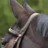 Kieffer Kieffer Trensenzaum Ultrasoft braun Warmblut