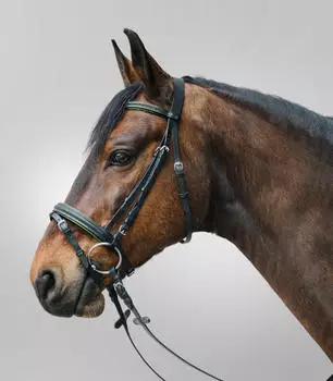 Star Kombinierte Nasenriemenreithalfter Diamond grün PONY