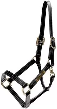 Kentucky Horsewear Horsewear Lederhalfter Wellington Leather Halfter Schwarz Full