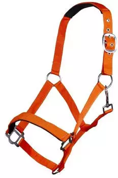 HKM Sydney Style Halfter, weich unterlegt, neon orange, Kaltblut