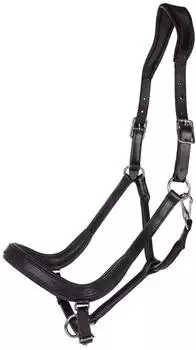QHP Halfter für Pferd Salerno schwarz WARMBLUT