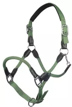HKM Carlotta Halfter, jade, Pony