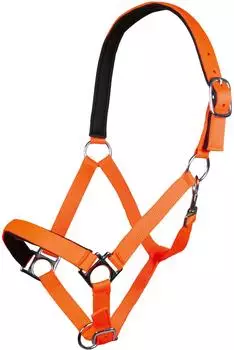 HKM Stars Softice Halfter, weich unterlegt, neon orange, Shetty