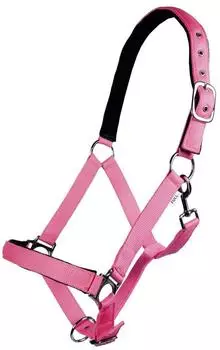 HKM Stars Softice Halfter, weich unterlegt, pink, Warmblut