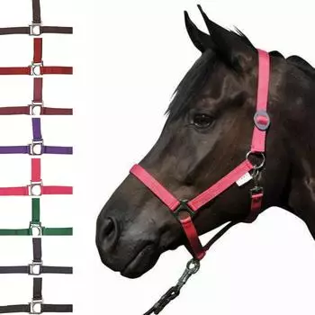 HKM Stars Economy Halfter, dunkelbraun, Warmblut