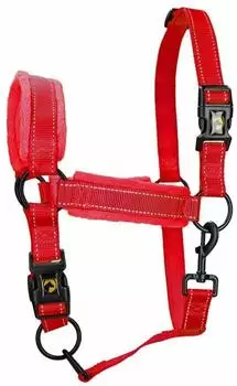 Excellent Superior Halfter Nylon, rot, L/Cob (HALS1204B)