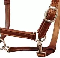 vidaXL Echtleder Halfter Stallhalfter verstellbar braun Pony
