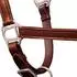 vidaXL Halfter Stallhalfter Echtleder, verstellbar, braun, Pony (90886)