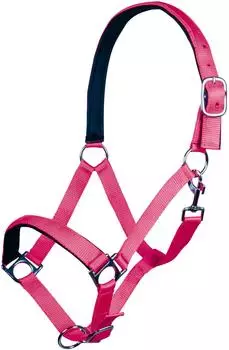 HKM Stars Softice Halfter, weich unterlegt, pink, Kaltblut