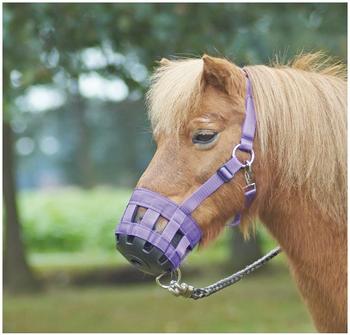 Busse Fressbremse Classic - blau