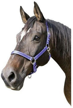 Kerbl Halfter Mustang verstellbar Gr. 1 Pony royalblau/schwarz