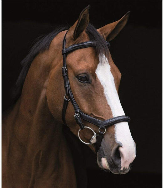 Horseware Rambo Micklem Deluxe Competition Bridle Vollblut schwarz